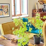 Apartmán Montecchi House Verona