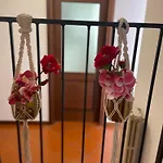 Montecchi House * Verona