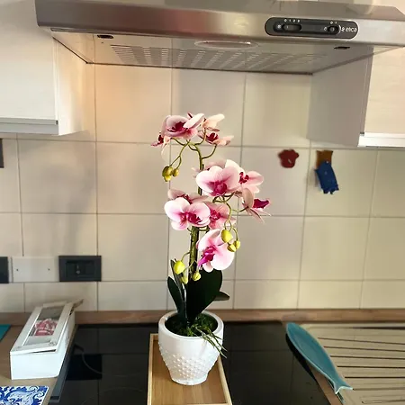 Montecchi House 베로나