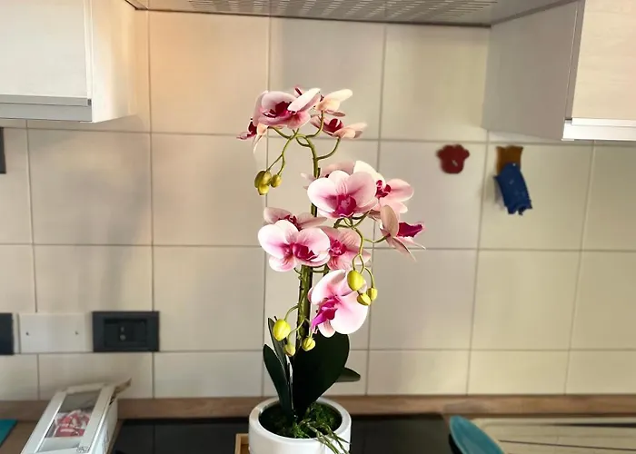 Montecchi House Verona