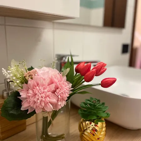 Montecchi House Верона